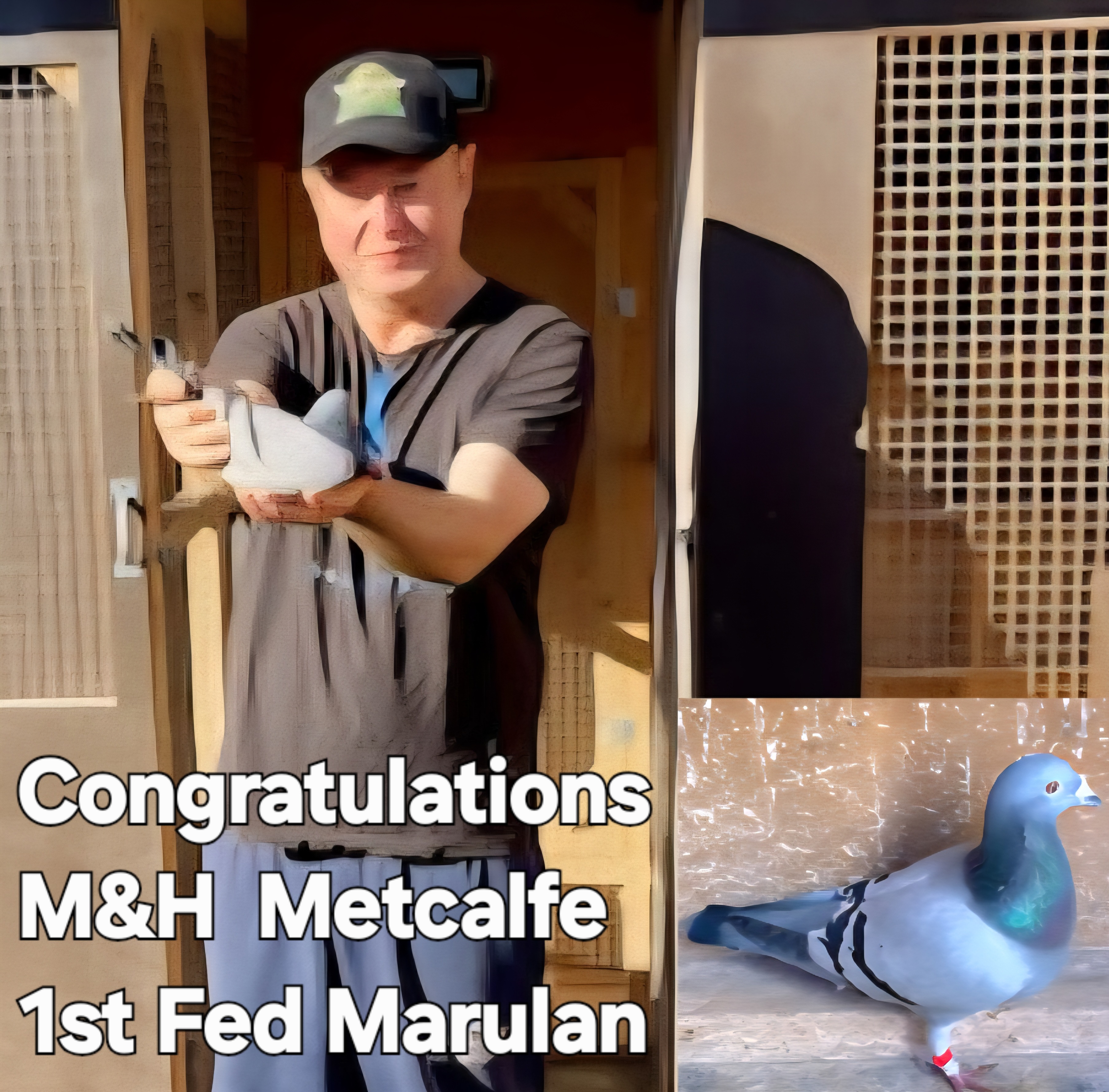 Mat Metcalfe